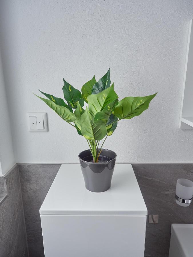Ferienwohnung Zur Lustigen Gabi 蒂尔塞 客房 照片